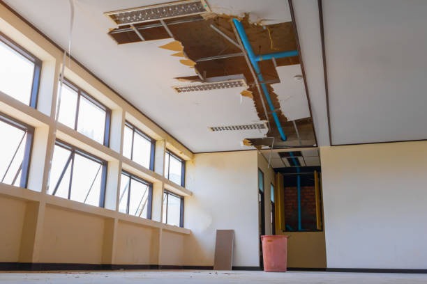 Best Water damage restoration near me  in Junction City, CA