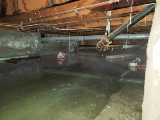  Junction City, CA Water damage restoration Pros