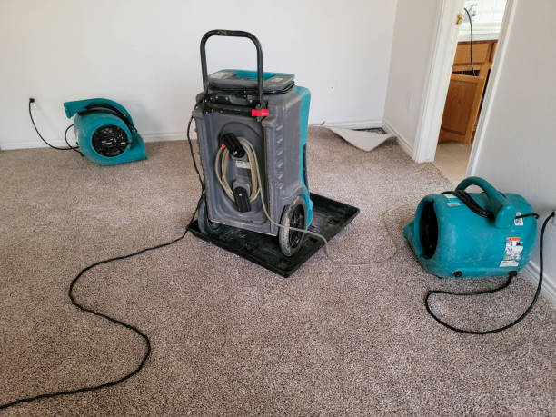 Best Flood restoration services  in Junction City, CA