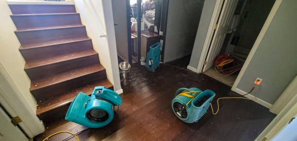 Best Water damage restoration near me  in Junction City, CA