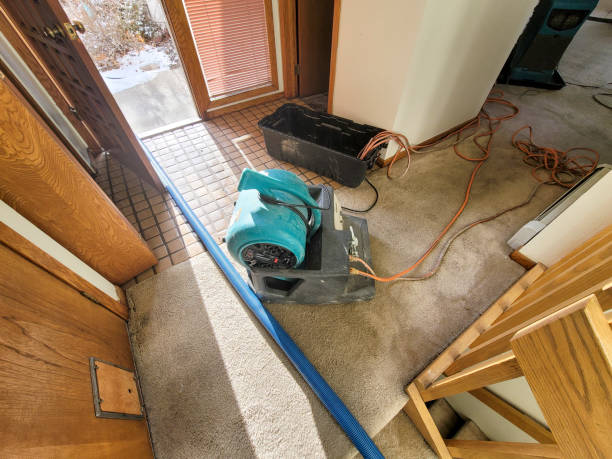 Best 24/7 water damage repair  in Junction City, CA