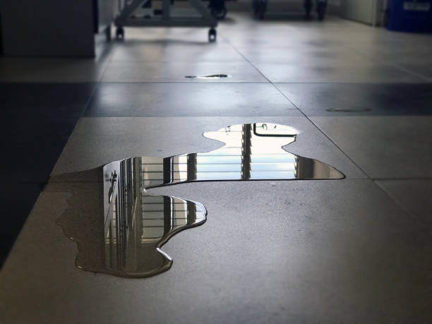 Best 24-hour water damage restoration  in Junction City, CA