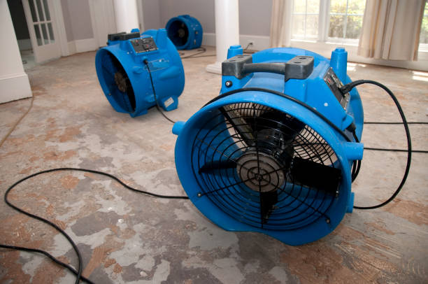 Best Water damage restoration mold remediation  in Junction City, CA