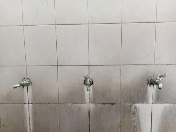 Best Mold removal after water damage  in Junction City, CA