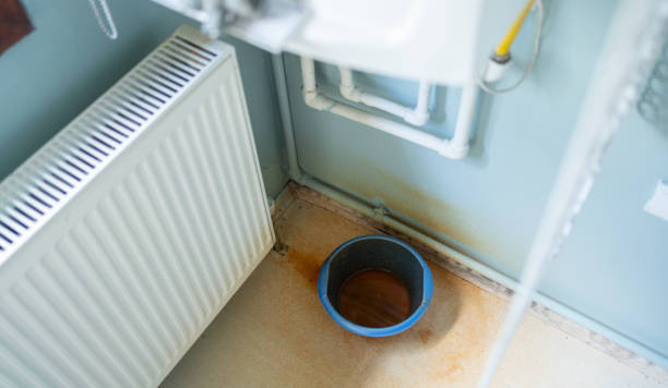 Best Basement water damage restoration  in Junction City, CA
