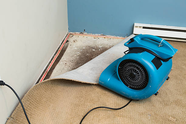 Best Basement water damage restoration  in Junction City, CA